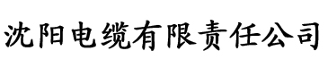 五一宅家必看白洁电缆厂logo